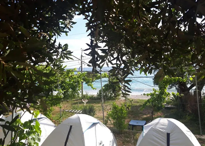 Camping Jungle In Borsh