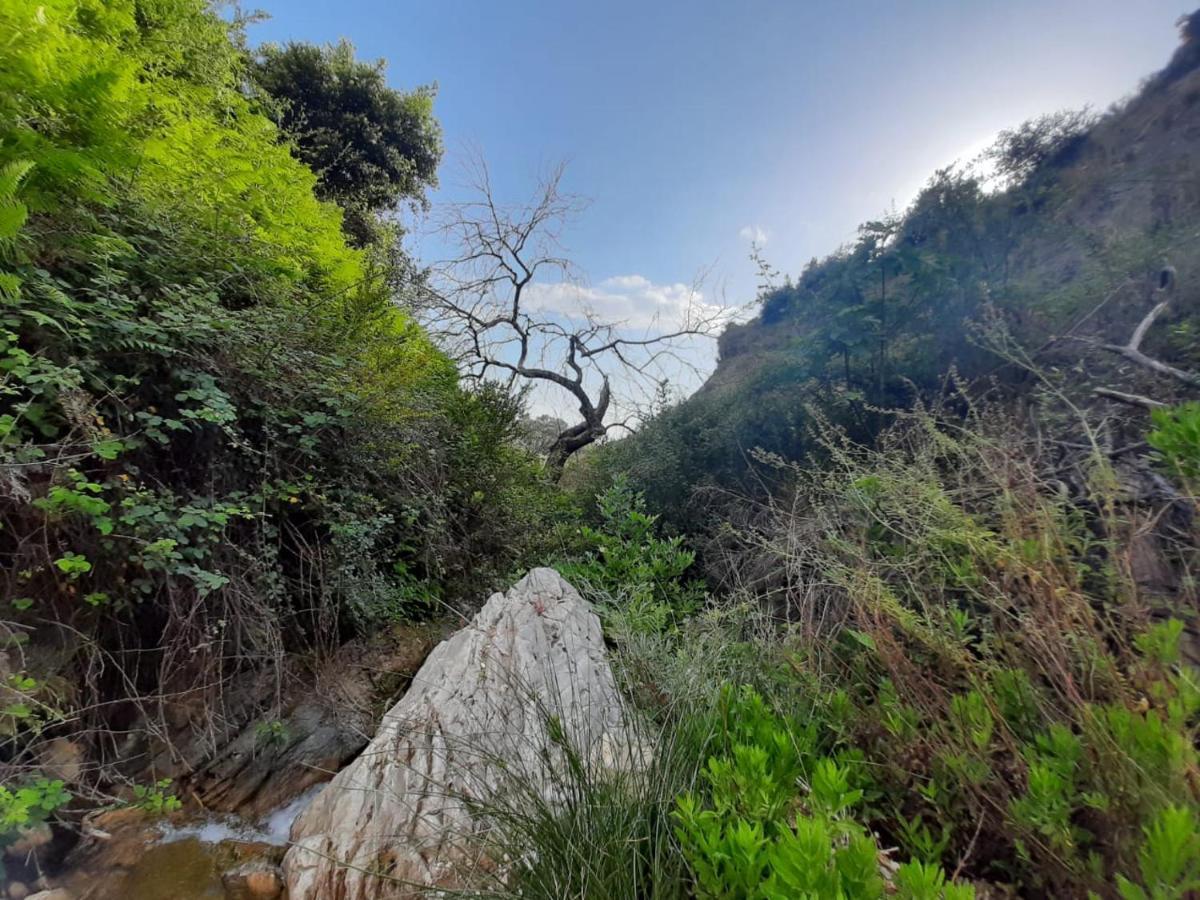 Jungle In Luxury tent *
