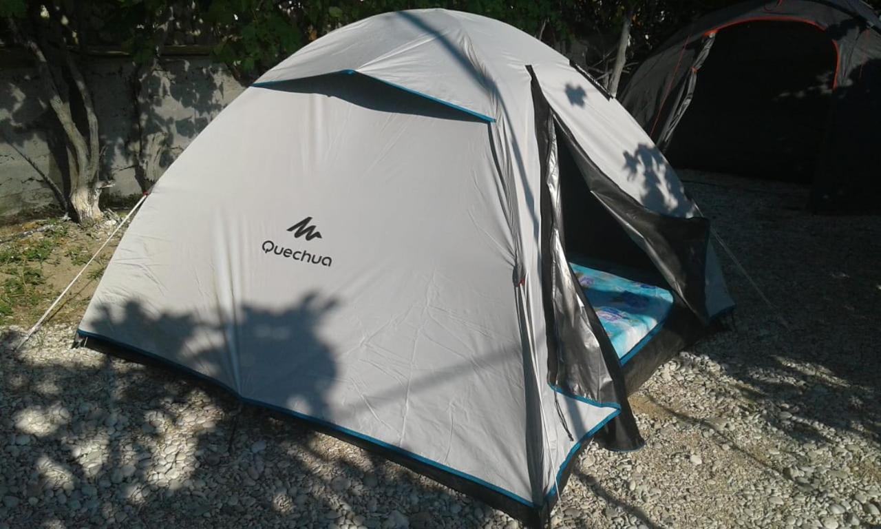 Jungle In Luxury tent *