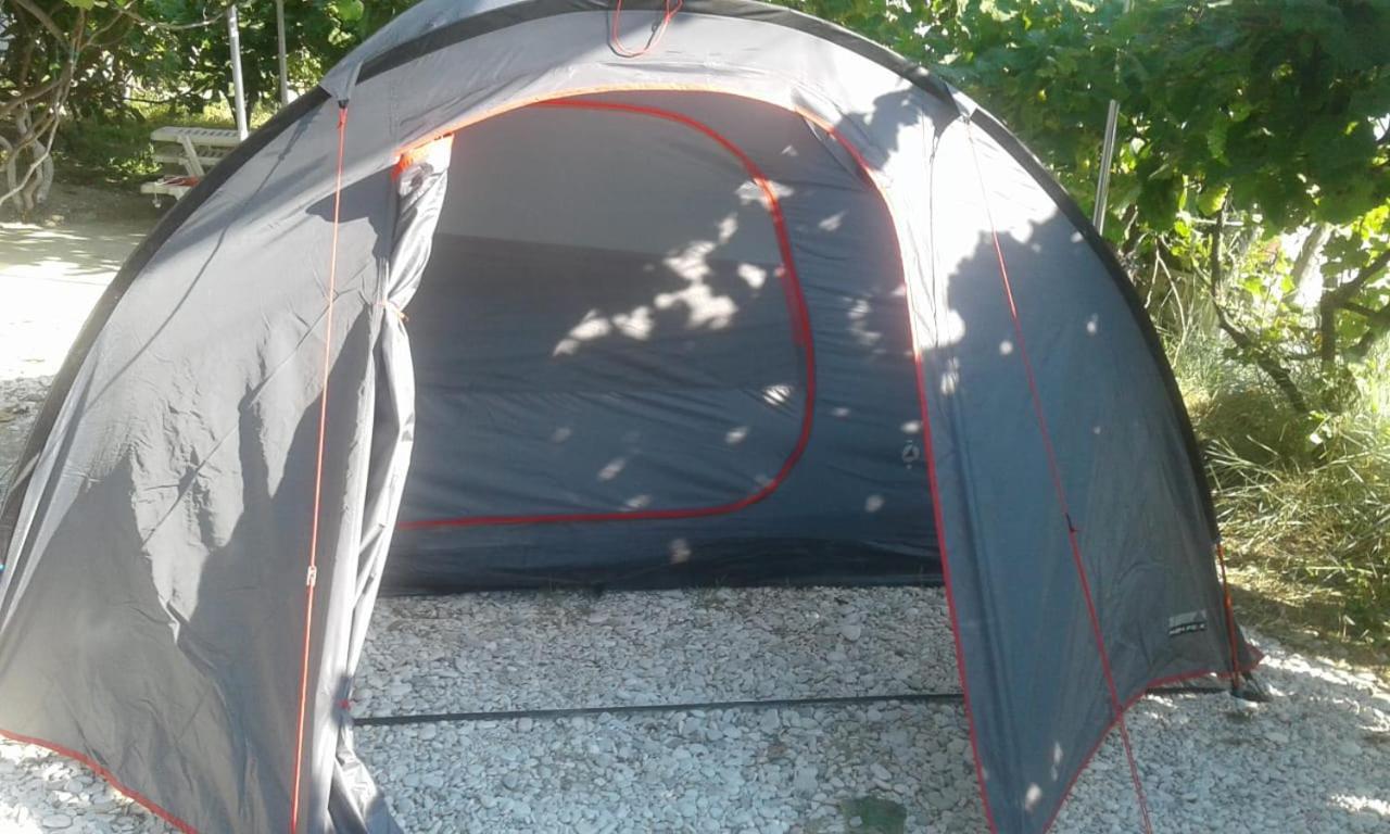 Jungle In Luxury tent