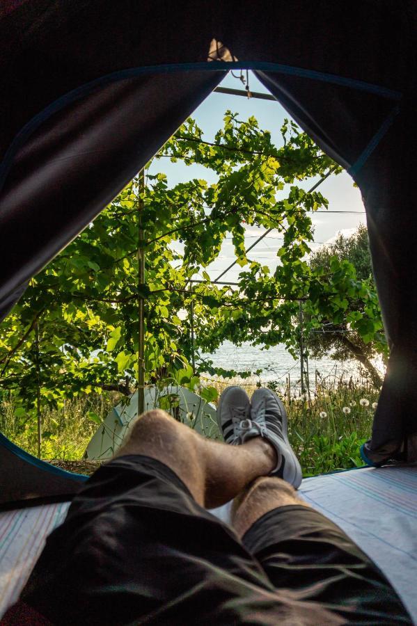 Luxury tent Jungle In