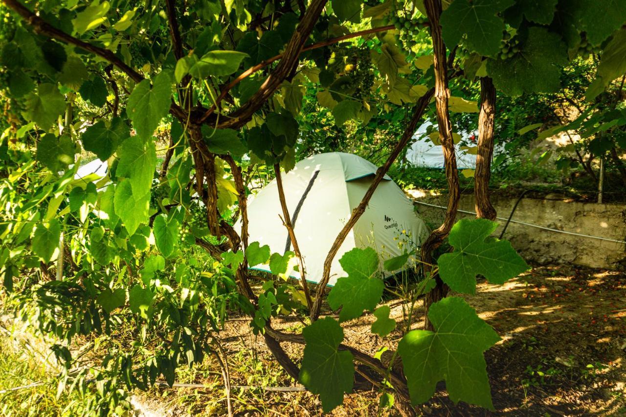 Jungle In Luxury tent