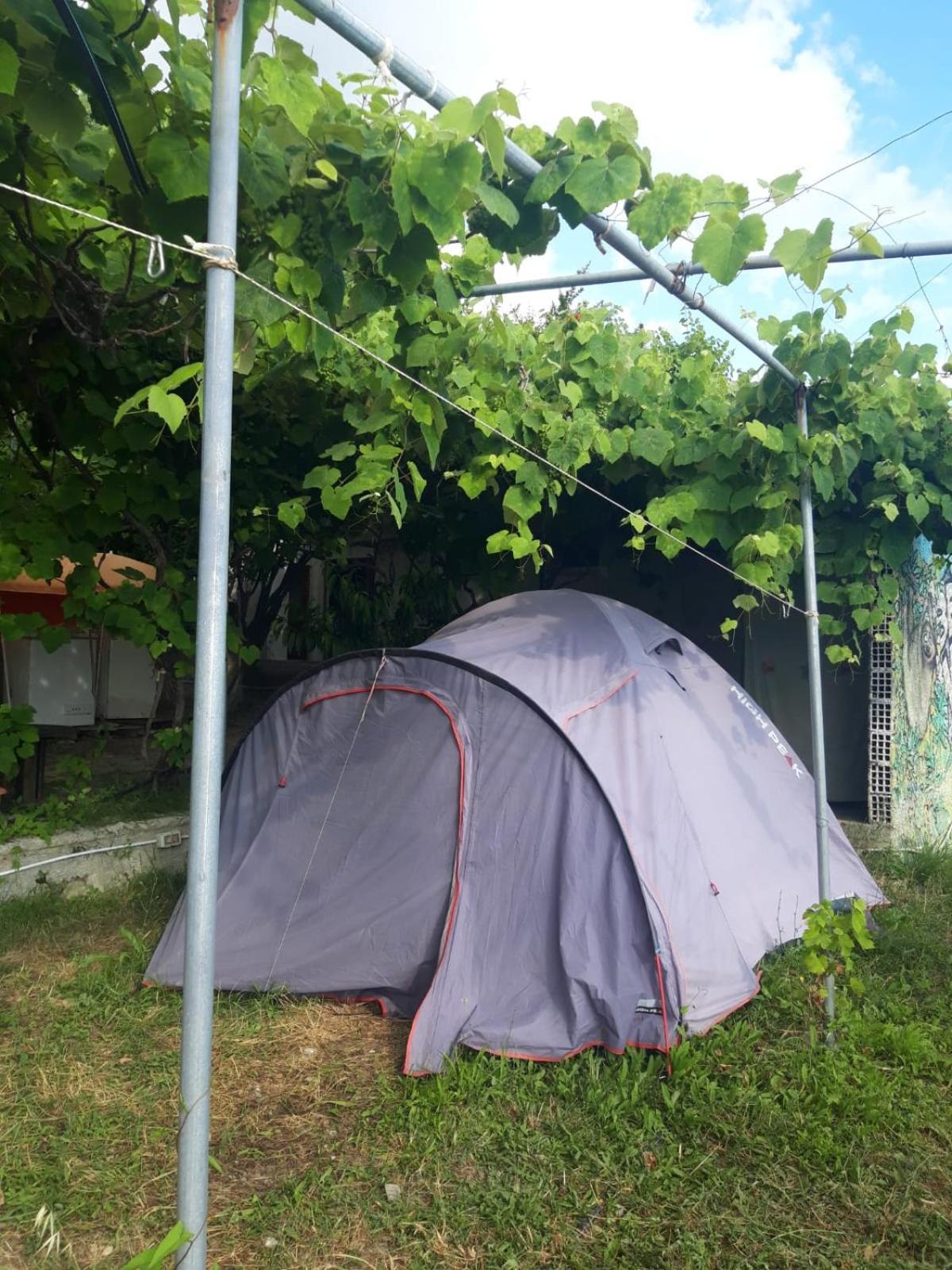 Luxury tent Jungle In