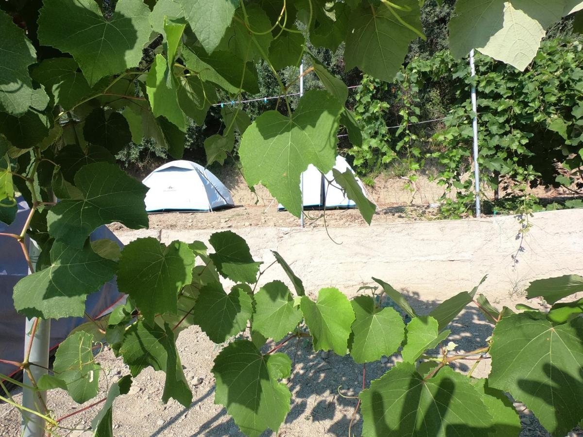 Camping Jungle In Borsh
