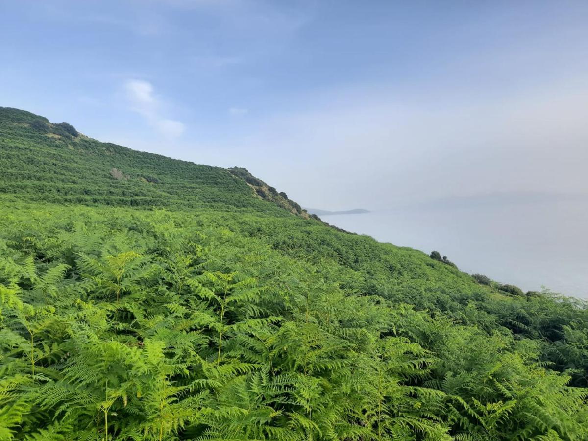 Luxuszelt Jungle In *