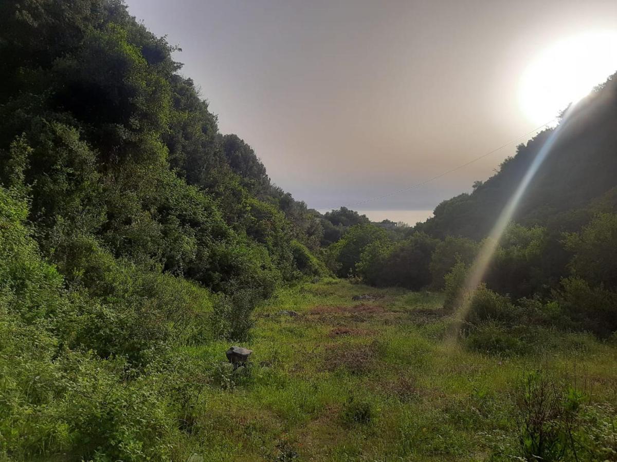 Luxuszelt Jungle In *