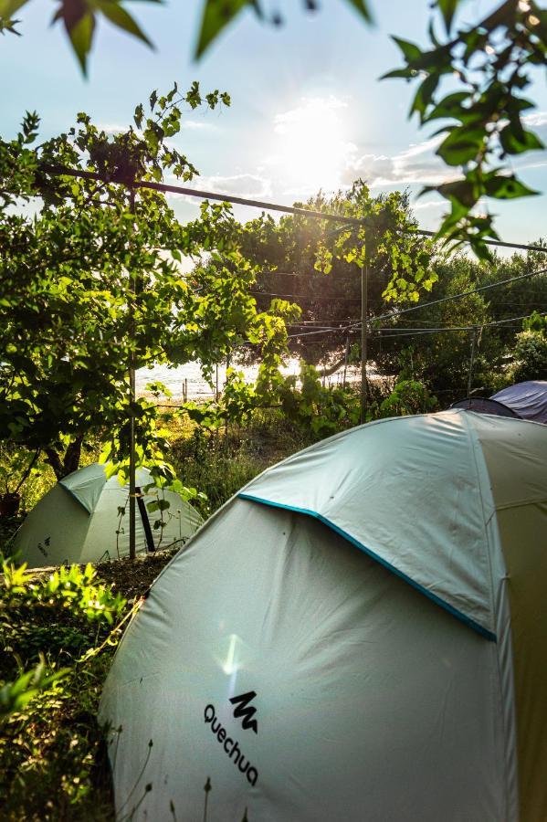 Luxuszelt Jungle In